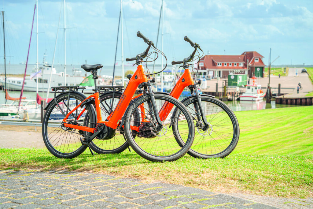 Nordseeräder vor Horumersiel Hafenkulisse