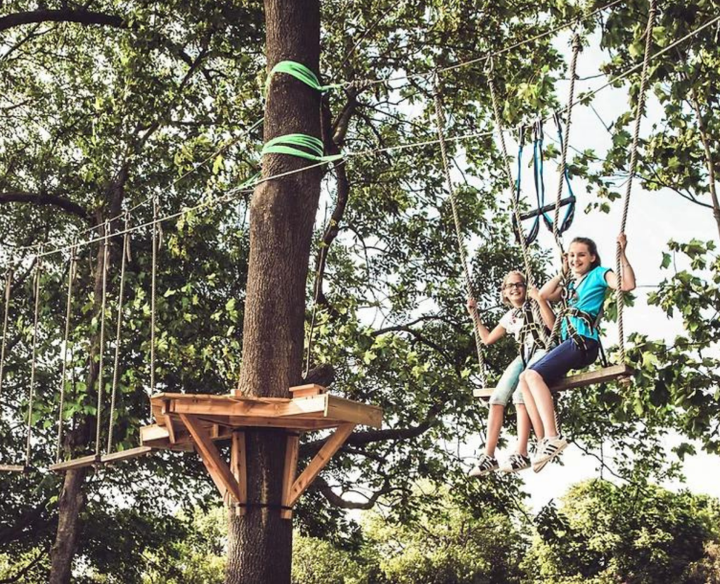 Kletternde Kinder in den Baumwipfeln